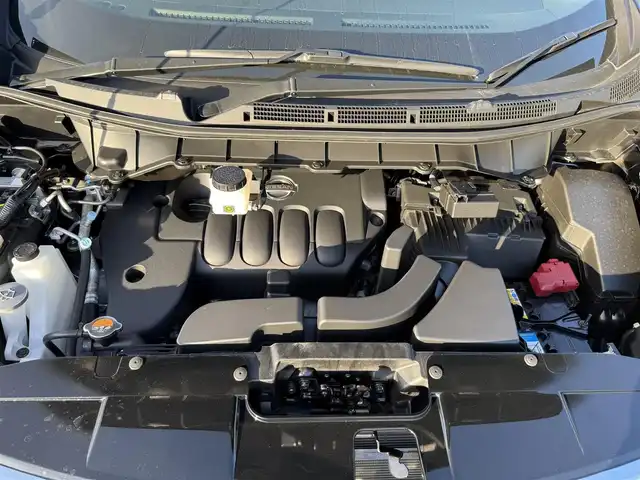 日産 エルグランド 250ハイウェイスターS 兵庫県 2025(令7)年 0.1千km 黒 登録済み未使用車/純正アルミホイール/LEDヘッドライト/オートライト/コーナーセンサー/エマージェンシーブレーキ/ステアリングリモコン/プロパイロット/アラウンドビューモニタ-/BSM/レーダークルコン/レーンキープ/オートハイビーム/両側パワースライドドア/パワーバックドア/ハーフレザーシート/Ｗエアコン