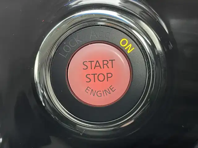 日産 エルグランド 250ハイウェイスターS 埼玉県 2019(平31)年 5.2万km ブリリアントホワイトパール ワンオーナー/ハーフレザーシート/純正メモリナビ/　DTV CD DVD BT SD HDDREC AUX/両側パワースライドドア/全方位バックカメラ/フリップダウンモニター/オットマン/インテリジェントクルーズコントロール/インテリジェントエマージェンシーブレーキ/LDW（車線逸脱警報）/VDC（ビークルダイナミクスコントロールシステム）/純正ビルトインETC/社外前後ドライブレコーダー/エンジンスタートボタン/スマートキー/スペアキー/純正LEDヘッドライト/オートライト/純正アルミホイール