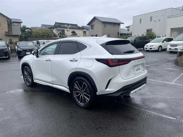 レクサス ＮＸ 250 バージョンL 神奈川県 2023(令5)年 1.1万km ソニッククォーツ 14インチディスプレイオーディオプラス/　・全方位カメラ/　・フルセグTV/BT/AppleCarPlay/AndroidAuto/OP/　・純正エアロ/　・ムーンルーフ/Lexus Safety System ＋/　・レーンディパーチャーアラート/　・レーントレーシングアシスト/　・レーダークルーズコントロール/　・ロードサインアシスト/　・発進遅れ告知機能/　・ドライバー異常時対応システム/　・プロアクティブドライビングアシスト/本革シート/　・前席シートベンチレーション＋シートヒーター/　・後席シートヒーター/ビルトインETC2.0/前後ドライブレコーダー/AC100V/100W/ハンズフリーパワーバックドア/スマートキー×3