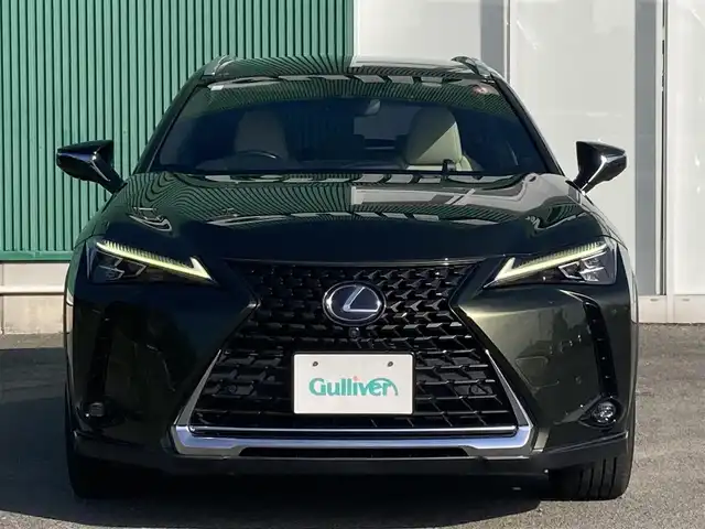 レクサス ＵＸ 250h バージョンL 福岡県 2019(平31)年 5.8万km 緑 純正ナビ（FM・AM・BT・DISC）/ブラインドスポットモニター/前席シートヒーター/前席パワーシート/ステアリングヒーター/ワイヤレス充電器/パワーバックドア/クルーズコントロール/セーフティシステムプラス/ブレーキホールド/パーキングサポートブレーキ