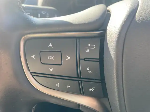 レクサス ＵＸ 250h バージョンL 福岡県 2019(平31)年 5.8万km 緑 純正ナビ（FM・AM・BT・DISC）/ブラインドスポットモニター/前席シートヒーター/前席パワーシート/ステアリングヒーター/ワイヤレス充電器/パワーバックドア/クルーズコントロール/セーフティシステムプラス/ブレーキホールド/パーキングサポートブレーキ