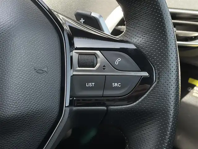 プジョー プジョー ３００８ GT ブルー HDi 長野県 2017(平29)年 5.2万km アマゾナイトグレー パノラマＳＲ　/純正ナビ　/バックカメラ　/ＡＣＣ/ＢＳＭ　/ハーフレザーシート　/ＥＴＣ　/電動リアゲート　/パドルシフト　/純正１８ＡＷ　/ルーフレール　/ＬＥＤヘッドライト　/オートライト　/社外レーダー