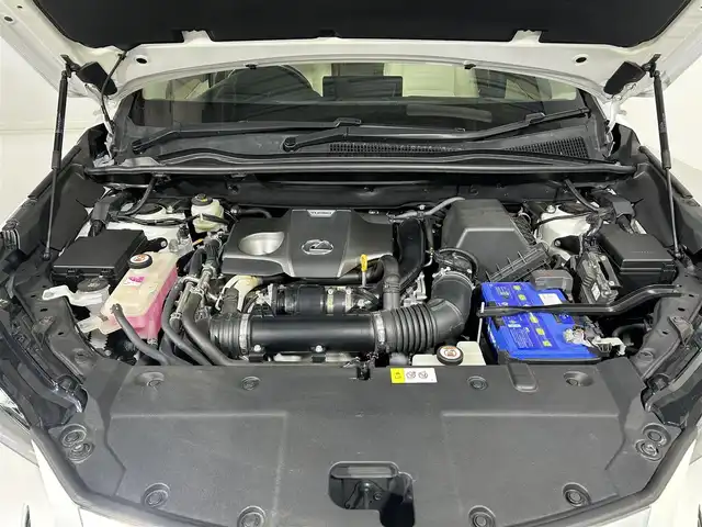レクサス ＮＸ 300 バージョンL 佐賀県 2018(平30)年 6万km ソニッククォーツ 純正10.3インチナビ/AM/FM/CD/DVD/Bluetooth/USB/AUX/フルセグTV/アラウンドビューモニター/レクサスセーフティシステム/レーダークルコン/レーンキープアシスト/コーナーセンサー/ビルトインETC2.0/パドルシフト/白本革シート/シートヒーター/ヘッドアップディスプレイ/純正18インチアルミホイール/三眼LEDヘッドライト/シーケンシャルウィンカー/スマートキー/スペアキー