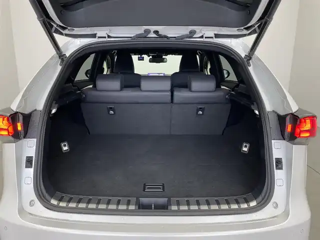 レクサス ＮＸ 300 スパイス&シック 埼玉県 2020(令2)年 2.8万km ソニッククォーツ メーカーナビ　黒合皮シート　ＢＳＭ　三眼ＬＥＤヘッドライト　ドライブレコーダー　ＥＴＣ２．０　セーフティシステムプラス　レーダークルーズコントロール　パワートランク　ベンチレーション　バックカメラ