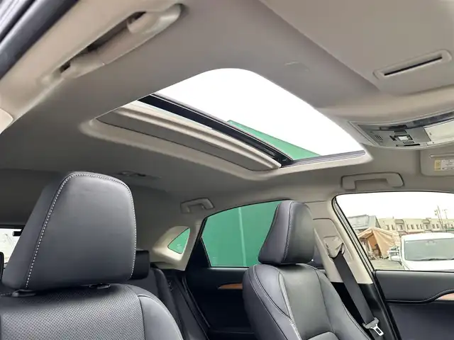 レクサス ＮＸ 300h バージョンL 宮城県 2019(平31)年 6.5万km マーキュリーグレーマイカ マークレビンソンプレミアムサラウンドサウンドシステム/パノラミックビューモニター＋パーキングサポートブレーキ（静止物）/ムーンルーフ/ルーフレール/ワイヤレス充電/＝＝＝/セーフティシステムプラス/・プリクラッシュセーフティ/・レーンディパーチャーアラート/・アダプティブハイビームシステム/・レーダークルーズコントロール/純正ナビ/・CD/DVD/・Bluetooth/・フルセグTV/ビルトインETC2.0/ドライブレコーダー/AC100V/100W電源/ハンズフリーパワーバックドア/本革シート/シートヒーター（前席/後席）/ベンチレーション（前席）/パワーシート（運転席メモリー機能付）/電動格納/リクライニング機能付6:4分割可倒式シート（リア）/革巻きステアリング/ステアリングヒーター/パドルシフト/電動パーキングブレーキ/ブレーキホールド/角型3眼LEDヘッドランプ/フォグランプ/オートライト/スマートキー＆プッシュスタート/純正18インチAW/純正フロアマット/W/サイド/カーテン/ニーエアバッグ