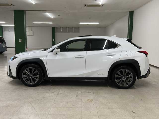 レクサス ＵＸ 250h Fスポーツ 熊本県 2019(平31)年 5万km ホワイトノーヴァガラスフレーク 禁煙車/ムーンルーフ/パノラミックビューモニター/Lexus Safety System＋/・プリクラッシュセーフティ/・レーントレーシングアシスト/・レーダークルーズコントロール/・オートハイビームアシスト/・ブラインドスポットモニター/・ヘッドアップディスプレイ/・クリアランスソナー/純正ナビ/・CD.DVD.SD.BT.USB/フルセグTV/黒本革シート/・前席パワーシート(シートメモリー付)/・前席シートヒーター/パワーバックドア/パドルシフト/ステアリングヒーター/ステアリングスイッチ/社外ドライブレコーダー（FR）/ビルトインETC2.0/LEDヘッドライト/LEDフォグランプ/電動パーキングブレーキ/オートホールド機能/純正18インチアルミホイール/純正フロアマット