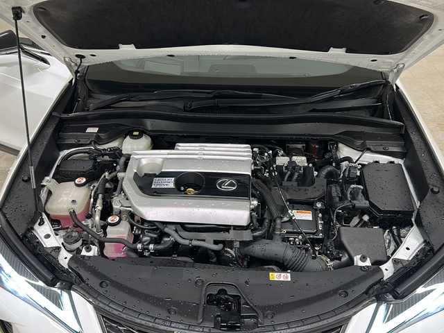 レクサス ＵＸ 250h Fスポーツ 熊本県 2019(平31)年 5万km ホワイトノーヴァガラスフレーク 禁煙車/ムーンルーフ/パノラミックビューモニター/Lexus Safety System＋/・プリクラッシュセーフティ/・レーントレーシングアシスト/・レーダークルーズコントロール/・オートハイビームアシスト/・ブラインドスポットモニター/・ヘッドアップディスプレイ/・クリアランスソナー/純正ナビ/・CD.DVD.SD.BT.USB/フルセグTV/黒本革シート/・前席パワーシート(シートメモリー付)/・前席シートヒーター/パワーバックドア/パドルシフト/ステアリングヒーター/ステアリングスイッチ/社外ドライブレコーダー（FR）/ビルトインETC2.0/LEDヘッドライト/LEDフォグランプ/電動パーキングブレーキ/オートホールド機能/純正18インチアルミホイール/純正フロアマット