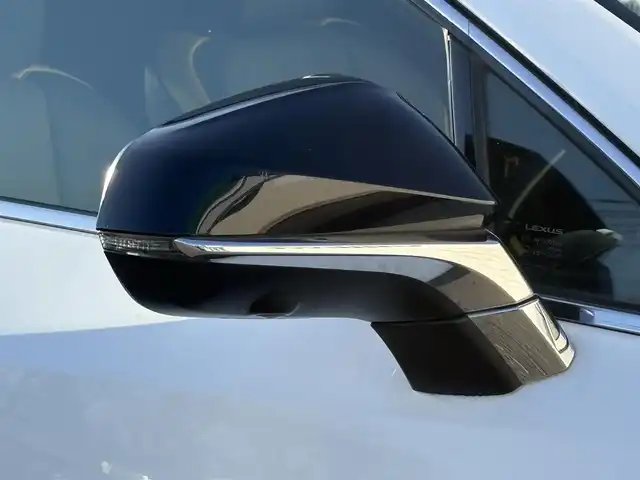 レクサス ＮＸ 300 Fスポーツ 岩手県 2019(令1)年 6万km ホワイトノーヴァガラスフレーク 禁煙車/サンルーフ/全方位カメラ/パワーバックドア/ハンドルヒーター/ミラーヒーター/シートヒーター/エアシート/純正ナビ/→フルセグTV/Bluetooth/CD/DVD/FM/AM/バックカメラ/ステアリングスイッチ/ブラインドスポットモニター/レーンキープアシスト/衝突軽減システム/電子パーキング/オートブレーキホールド/横滑り防止装置/コーナーセンサー/〇プッシュスタート/〇パドルシフト/〇電動格納ミラー/〇ウィンカーミラー/〇フロアマット/〇シガーソケット/〇USBポート/〇スマートキー/スマートキー/前後ドライブレコーダー/ビルトインETC