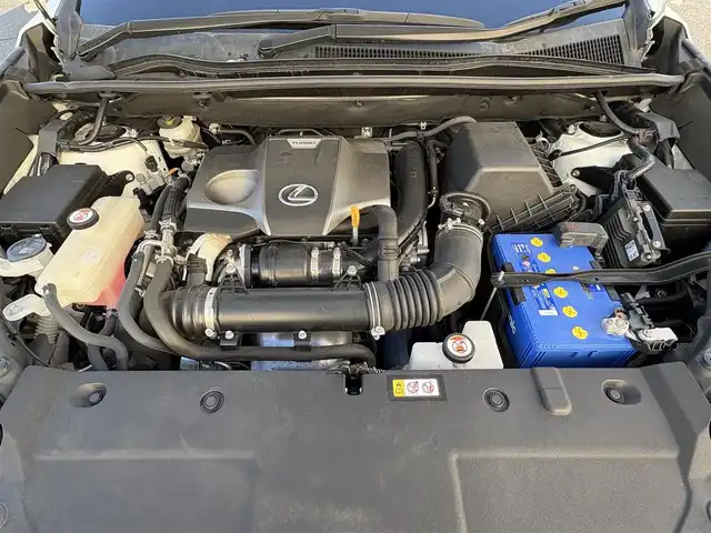 レクサス ＮＸ 300 Fスポーツ 岩手県 2019(令1)年 6万km ホワイトノーヴァガラスフレーク 禁煙車/サンルーフ/全方位カメラ/パワーバックドア/ハンドルヒーター/ミラーヒーター/シートヒーター/エアシート/純正ナビ/→フルセグTV/Bluetooth/CD/DVD/FM/AM/バックカメラ/ステアリングスイッチ/ブラインドスポットモニター/レーンキープアシスト/衝突軽減システム/電子パーキング/オートブレーキホールド/横滑り防止装置/コーナーセンサー/〇プッシュスタート/〇パドルシフト/〇電動格納ミラー/〇ウィンカーミラー/〇フロアマット/〇シガーソケット/〇USBポート/〇スマートキー/スマートキー/前後ドライブレコーダー/ビルトインETC