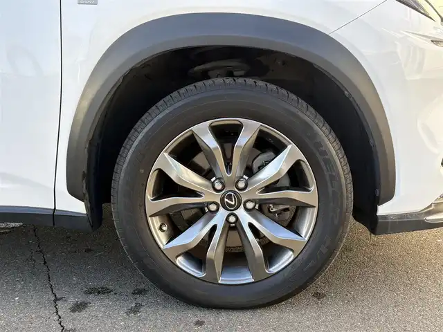 レクサス ＮＸ 300 Fスポーツ 岩手県 2019(令1)年 6万km ホワイトノーヴァガラスフレーク 禁煙車/サンルーフ/全方位カメラ/パワーバックドア/ハンドルヒーター/ミラーヒーター/シートヒーター/エアシート/純正ナビ/→フルセグTV/Bluetooth/CD/DVD/FM/AM/バックカメラ/ステアリングスイッチ/ブラインドスポットモニター/レーンキープアシスト/衝突軽減システム/電子パーキング/オートブレーキホールド/横滑り防止装置/コーナーセンサー/〇プッシュスタート/〇パドルシフト/〇電動格納ミラー/〇ウィンカーミラー/〇フロアマット/〇シガーソケット/〇USBポート/〇スマートキー/スマートキー/前後ドライブレコーダー/ビルトインETC