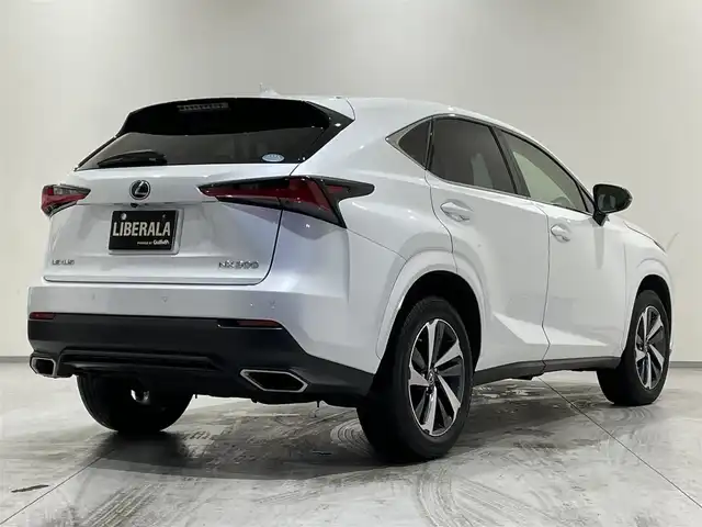 レクサス ＮＸ 300 ブラックシークエンス 熊本県 2018(平30)年 2.7万km ソニッククォーツ ・スマートキー/・プッシュスタート/・ガラスルーフ/・プリクラッシュセーフティ/・レーンデパーチャーアラート/・パーキングサポートアラート/・オートマティックハイビーム/・クルーズコントロール(追従式)/・黒レザーシート/・前席パワーシート/・全席シートヒーター /・純正メモリナビ/　【BD・Bluetooth・USB・SD・AUX・MSV】/・フルセグTV/・バックカメラ/・ETC2.0/・パワーバックドア/・LEDヘッドランプ/・LEDフォグランプ
