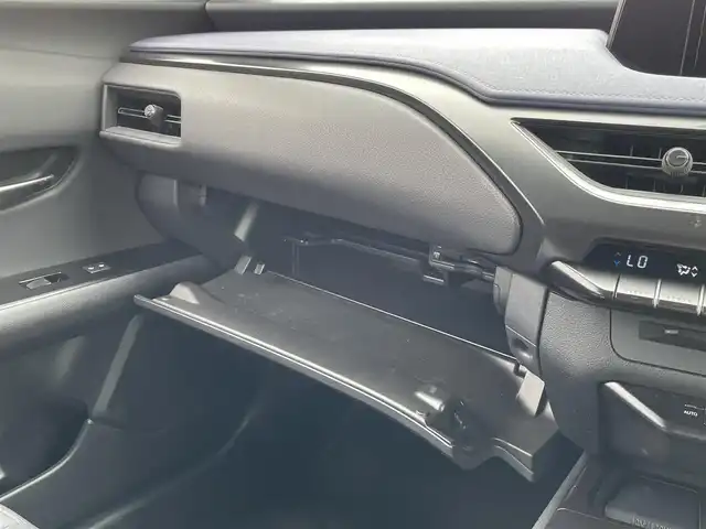 レクサス ＵＸ 250h アーバンエレガンス 佐賀県 2021(令3)年 3.9万km ソニッククォーツ 純正10.3インチメモリーナビゲーション/・フルセグTV/CD/DVD/SD/USB/Bluetooth/パノラミックビューモニター/ビルトインETC2.0/リバース連動ドアミラー/開度調整式パワーバックドア(予約ロック機能付)/電子パーキングブレーキ/・AUTO HOLD機能/DN席パワーシート(D席メモリー機能付)/シートヒーター/ISOFIX対応/パドルシフト/革巻きステアリング/ステアリングヒーター/ステアリングリモコン/純正18インチアルミホイール/純正LEDヘッドライト/・オートマチックハイビーム/純正LEDフォグランプ/新車保証書/スペアキー１本/カードキー１枚/Lexus Safety System +/・レーダークルーズコントロール/・レーントレーシングアシスト/・プリクラッシュセーフティ/・ブラインドスポットモニター/・パーキングサポートアラート/・先行車発進お知らせ機能/・ロードサインアシスト