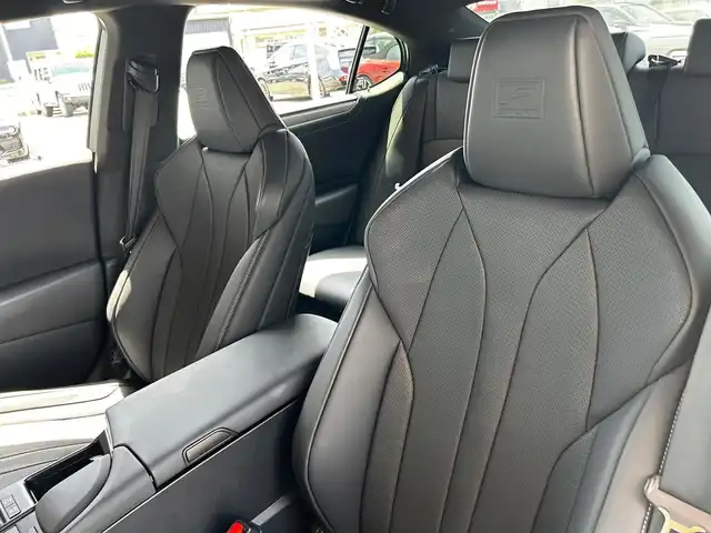 レクサス ＥＳ 300h Fスポーツ 富山県 2019(令1)年 4.7万km ホワイトノーヴァガラスフレーク 純正メーカーOPナビ/AM/FMラジオ/CD/DVD再生/Bluetooth接続/フルセグTV/バックモニター/衝突被害軽減システム/レーンキープアシスト/アダプティブクルーズコントロ―ル/ブラインドスポットモニター/RCTA/パーキングアシスト/デジタルインナーミラー/純正ビルトインETC2.0/フロントドライブレコーダー/電動リアゲート/サンルーフ/レザーシート/D/N席パワーシート/D/N席エアシート/D/N席シートヒーター/ステアリングヒーター/純正LEDヘッドライト/オートライト/オートマチックハイビーム/純正19インチAW/社外フロアマット/スペアキー/ABS/横滑り防止機能/前後コーナーセンサー