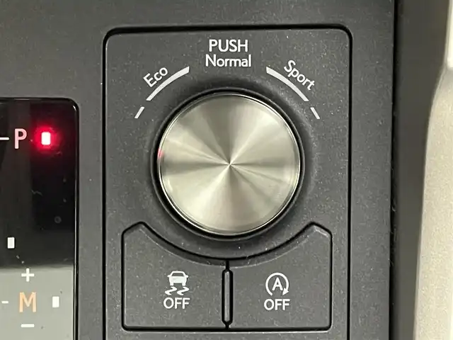 レクサス ＮＸ 300 バージョンL 埼玉県 2019(令1)年 3.6万km グラファイトブラックガラスフレーク サンルーフ/黒レザーシート/純正１０．２５型ナビ/　CD　DVD　Bluetooth　USB　MiraCast　フルセグＴＶ/パノラミックビューモニター/衝突被害軽減/レーダークルーズコントロール/レーンキープアシスト/ブラインドスポットモニター/ヘッドアップディスプレイ/パワーバックドア/シートヒーター/シートベンチレーション/ステアリングヒーター/メモリ機能付きパワーシート/パドルシフト/LEDオートライト/ETC2.0/純正１８インチアルミホイール