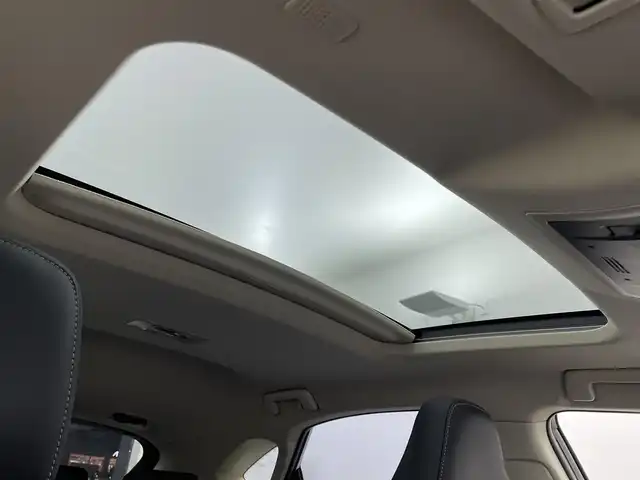 レクサス ＮＸ 300 バージョンL 埼玉県 2019(令1)年 3.6万km グラファイトブラックガラスフレーク サンルーフ/黒レザーシート/純正１０．２５型ナビ/　CD　DVD　Bluetooth　USB　MiraCast　フルセグＴＶ/パノラミックビューモニター/衝突被害軽減/レーダークルーズコントロール/レーンキープアシスト/ブラインドスポットモニター/ヘッドアップディスプレイ/パワーバックドア/シートヒーター/シートベンチレーション/ステアリングヒーター/メモリ機能付きパワーシート/パドルシフト/LEDオートライト/ETC2.0/純正１８インチアルミホイール