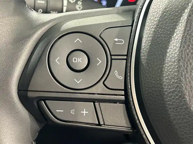 トヨタ ＲＡＶ４ G 愛知県 2019(令1)年 0.7万km ホワイトパールクリスタルシャイン 純正９インチナビ/プリクラッシュセーフティ/レーダークルーズコントロール/レーントレーシングアシスト/ブラインドスポットモニター/クリアランスソナー/先行車発進告知/バックカメラ/パワーバックドア/シートヒーター/シートメモリー/ハンドルヒーター/前後ドライブレコーダー/ビルトインＥＴＣ２．０/アクセサリーソケット/純正フロアマット/純正18インチアルミホイール