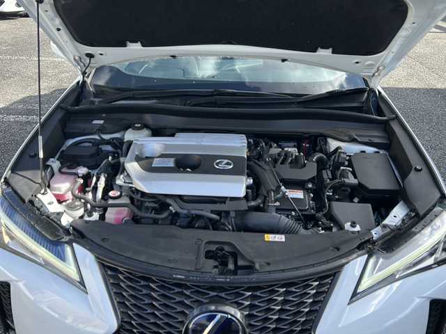 レクサス ＵＸ 250h Fスポーツ 岐阜県 2021(令3)年 6.5万km ホワイトノーヴァガラスフレーク ワンオーナー/サンルーフ/ドラレコ/純正ナビ/AM/FM/Bluetooth/TV（フルセグ）/miracast/sports、normal、eco、EVモード/レザーシート/シートヒーター/レーダークルーズ/パワーバックドア/アラウンドビューモニター/コーナーセンサー/パドルシフト/シートメモリー/パワーシート/オートライト/オートエアコン/オートホールド/電動パーキング/本巻ステアリング/純正マット/ビルトインETC/プッシュスタート/スマートキー/カードキー/取扱説明書/保証書