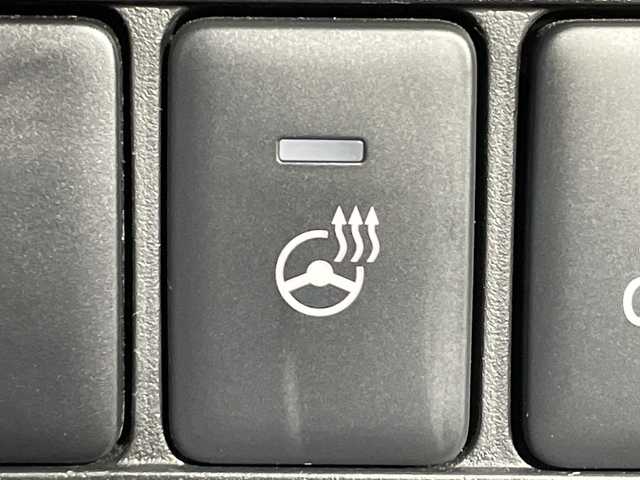 三菱 デリカＤ：５ P 神奈川県 2024(令6)年 2.3万km アメジストブラック 4WD/ディーゼルターボ/社外10.1型フローティングSDナビゲーション【AVN-HSO1F】/フルセグ　Bluetooth　SD　CD DVD　USB　HDMI　AppleCarPlay/両側電動スライドドア/パワーバックドア/e-Assist /FCM衝突軽減ブレーキシステム/LDW車線逸脱警報システム/レーダークルーズコントロール/オートマチックハイビーム/誤発進抑制機能/後側方車両検知警報システム/後退時車両検知警報システム/オートステップ＆ゴー/革巻きステアリング/パドルシフト/ステアリングスイッチ/ステアリングヒーター/運転席パワーシート/前席シートヒーター/2列目ベンチシート/電動パーキングブレーキ/オートブレーキホールド/社外前後ドライブレコーダー/プッシュスタート/スマートキー/LEDヘッドランプ/LEDポジションランプ/オートライト/フロントフォグランプ/純正18インチアルミホイール/