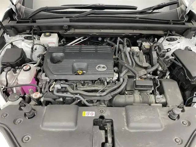 レクサス ＮＸ 350h Fスポーツ 滋賀県 2022(令4)年 3.4万km ホワイトノーヴァガラスフレーク 禁煙車/サンルーフ/ルーフレール/オレンジキャリパー/おくだけ充電/14インチ純正ナビ【Bluetooth/CD/DVD/USB】/全方位カメラ/前後ドラレコ/パーキングアシスト/レザーシート/前席パワーシート/全席シートヒーター/前席エアシート/LEDライト/オートライト/オートハイビーム/前後ソナー/BSM/電動リアゲート/ETC2.0/パドルシフト/ヘッドアップディスプレイ/100V電源/レーダークルーズコントロール/レーンキープアシスト/純正エアロ/プッシュスタート/スマートキー