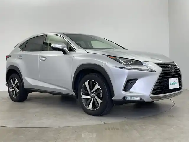 レクサス ＮＸ 300 Iパッケージ 鹿児島県 2019(平31)年 3.9万km プラチナムシルバーメタリック ・純正ナビ/・フルセグTV　BT/・パノラミックビューモニター/・バック フロントカメラ/・レーダークルコン/・合皮シート/・シートヒーター/・メモリー付きパワーシート/・パワーバックドア/・前後コーナーセンサー/・ブラインドスポットモニター/・3眼LEDライト/・パドルシフト/・ステアリングヒーター/・オートハイビーム/・ビルトインETC2.0