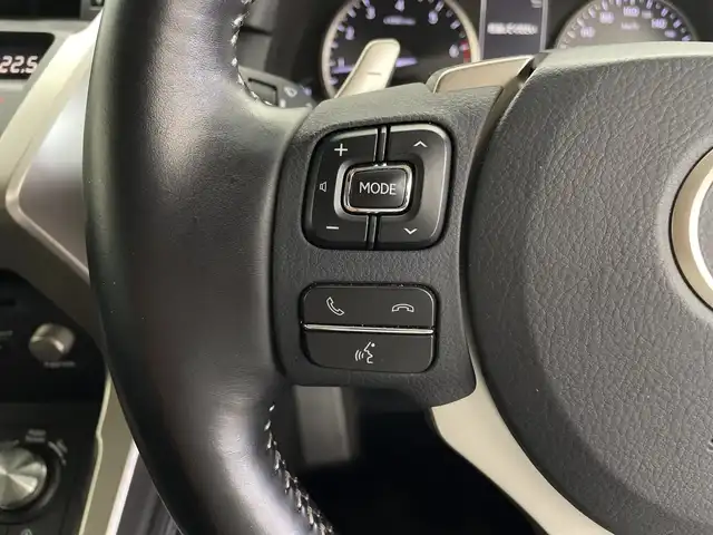 レクサス ＮＸ 300 Iパッケージ 鹿児島県 2019(平31)年 3.9万km プラチナムシルバーメタリック ・純正ナビ/・フルセグTV　BT/・パノラミックビューモニター/・バック フロントカメラ/・レーダークルコン/・合皮シート/・シートヒーター/・メモリー付きパワーシート/・パワーバックドア/・前後コーナーセンサー/・ブラインドスポットモニター/・3眼LEDライト/・パドルシフト/・ステアリングヒーター/・オートハイビーム/・ビルトインETC2.0