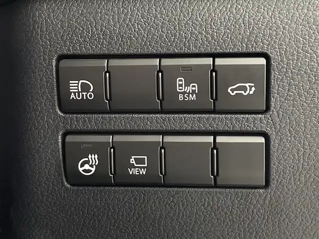 レクサス ＮＸ 300 Iパッケージ 鹿児島県 2019(平31)年 3.9万km プラチナムシルバーメタリック ・純正ナビ/・フルセグTV　BT/・パノラミックビューモニター/・バック フロントカメラ/・レーダークルコン/・合皮シート/・シートヒーター/・メモリー付きパワーシート/・パワーバックドア/・前後コーナーセンサー/・ブラインドスポットモニター/・3眼LEDライト/・パドルシフト/・ステアリングヒーター/・オートハイビーム/・ビルトインETC2.0