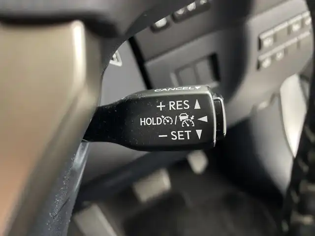 レクサス ＮＸ 300 Iパッケージ 鹿児島県 2019(平31)年 3.9万km プラチナムシルバーメタリック ・純正ナビ/・フルセグTV　BT/・パノラミックビューモニター/・バック フロントカメラ/・レーダークルコン/・合皮シート/・シートヒーター/・メモリー付きパワーシート/・パワーバックドア/・前後コーナーセンサー/・ブラインドスポットモニター/・3眼LEDライト/・パドルシフト/・ステアリングヒーター/・オートハイビーム/・ビルトインETC2.0
