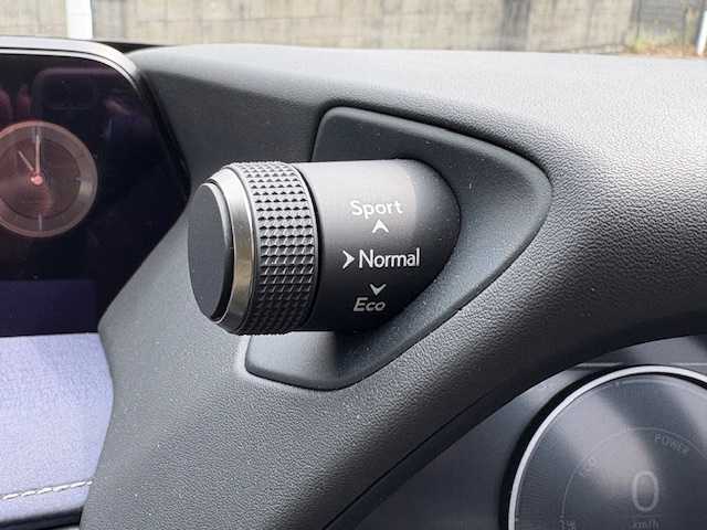 レクサス ＵＸ 250h アーバンエレガンス 大阪府 2021(令3)年 3.8万km ソニックチタニウム ナビ　/フルセグ　/Ｂｌｕｅｔｏｏｔｈ　/全方位カメラ　/レザーシート　/シートヒーター　/ステアリングヒーター　/パワーバックドア　/ブラインドスポットモニター　/前後ドラレコ　/ビルトイン２．０ＥＴＣ　/ＡＣ１００Ｖ