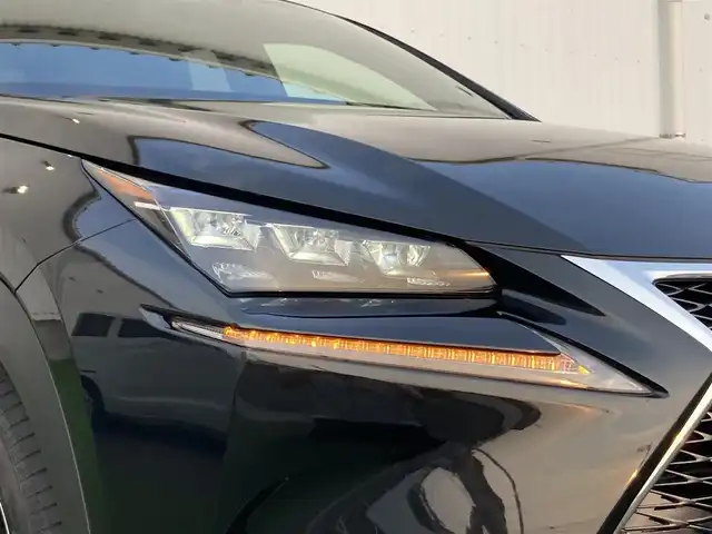 レクサス ＮＸ 300h Fスポーツ 香川県 2017(平29)年 3.2万km グラファイトブラックガラスフレーク 登録時走行距離：31294km/　CD DVD BT フルセグTV/バックカメラ/レザーシート/シートベンチレーション/パワーシート/シートメモリ/革巻きステアリング/ステアリングスイッチ/ステアリングヒーター/パワーバックドア/プリクラッシュセーフティシステム/レーダークルーズコントロール/クリアランスソナー/LEDヘッドライト/オートライト/フォグランプ/MTモード付AT/パドルシフト/アルミペダル/オートホールド機能付き電子パーキングブレーキ/ビルトインETC2.0/プッシュスタート/スマートキー