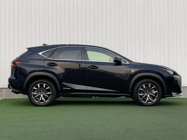 レクサス ＮＸ 300h Fスポーツ 香川県 2017(平29)年 3.2万km グラファイトブラックガラスフレーク 登録時走行距離：31294km/　CD DVD BT フルセグTV/バックカメラ/レザーシート/シートベンチレーション/パワーシート/シートメモリ/革巻きステアリング/ステアリングスイッチ/ステアリングヒーター/パワーバックドア/プリクラッシュセーフティシステム/レーダークルーズコントロール/クリアランスソナー/LEDヘッドライト/オートライト/フォグランプ/MTモード付AT/パドルシフト/アルミペダル/オートホールド機能付き電子パーキングブレーキ/ビルトインETC2.0/プッシュスタート/スマートキー