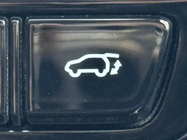 レクサス ＮＸ 250 千葉県 2023(令5)年 2.5万km ソニッククォーツ 純正ディスプレイオーディオTV/パノラマサンルーフ/パノラミックビューモニター/ブラックレザーシート/パワーババックドア/ルーフレール/ミラーヒーター/カードキー有/AC１００V/ブラインドスポットモニター/ステアリングスイッチ/ドラレコ前後/パドルシフト/ブレーイホールド/純正アルミ/フロアマット