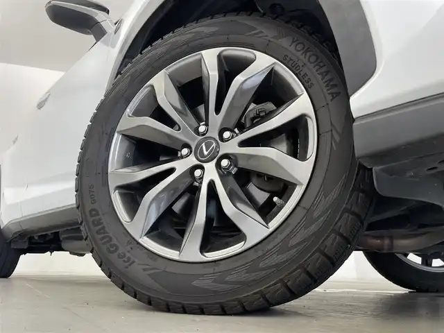 レクサス ＮＸ 300 Fスポーツ 群馬県 2018(平30)年 4.7万km ホワイトノーヴァガラスフレーク ブラインドスポットモニター/リアクロストラフィックアラート/＝＝＝＝＝/純正10.3インチナビ/・AM/FM/CD/DVD/SD/USB/AUX/Bluetooth/フルセグTV/Miracast/バックカメラ/左サイドカメラ/パワーバックドア/Lexus Safety System ＋/・プリクラッシュセーフティシステム（歩行者検知機能付衝突回避支援タイプ）/・レーンディパーチャーアラート（ステアリング制御機能付）/・オートマチックハイビーム/・レーダークルーズコントロール(全車速追従機能付)/パドルシフト/前席パワーシート/シートヒーター/ベンチレーション/運転席メモリー機能/ステアリングヒーター/電動パーキングブレーキ/オートブレーキホールド/プッシュスタート/スマートキー