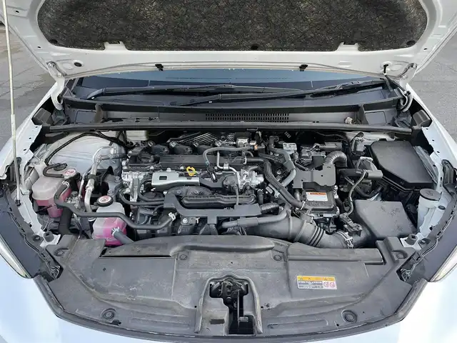 トヨタ プリウス Z 群馬県 2023(令5)年 8.8万km プラチナホワイトパールマイカ 純正ナビ付１２．３型ディスプレイ　/フルセグ　/全周囲カメラ　/黒レザーシート　/前席エアシート・シートヒーター　/１００Ｖ充電　/Ｍｉｒａｃａｓｔ　/デジタルミラー　/ＢＳＭ　/純正１９インチＡＷ　/純正フロアマット/Bluetooth/AHB/LEDヘッドライト/D席パワーシート/純正ビルトインETC2.0/アダプティブクルーズコントロール/シートセットポジションメモリー/スマートキー/パワーステアリング