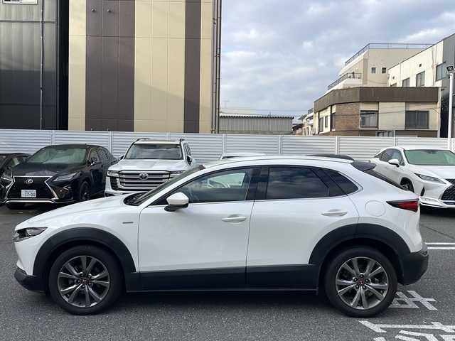 マツダ ＣＸ－３０ XD 100周年特別記念車 広島県 2020(令2)年 3.9万km スノーフレイクホワイトパールマイカ /登録時走行距離/　　　　　　　38146キロ/i-stop/純正ナビ/全方位モニター/地デジ/赤革シート/シートヒーター/クルーズコントロール/パワーバックドア/ステアヒーター/BOSEサウンドシステム/スペアキー×１/ETC/新車時整備手帳/　　【保証書】/取扱説明書/