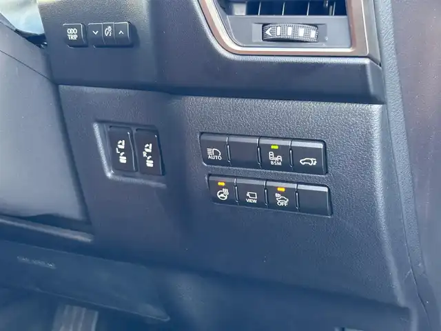 レクサス ＮＸ 300h バージョンL 山梨県 2018(平30)年 5.8万km アンバークリスタルシャイン 純正ナビ/　（フルセグTV/CD/DVD/BT）/マークレビンソン/パノラミックビューモニター/レーダークルーズコントロール/SR/三眼LED/HUD/BSM/PCS/ETC/茶革/シートヒーター/ベンチレーション/パワーバックドア/純正18インチAW
