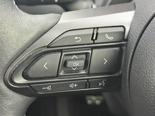 トヨタ ＧＲカローラ RZ 愛知県 2024(令6)年 3万km グレー 6MT車/4WD/ターボ/GR仕様車/　　・リヤスポイラー/　　・専用ブレーキキャリパー/　　・専用フロアマット/トヨタセーフティセンス/　　・プリクラッシュセーフティ/　　・レーダークルーズコントロール/　　・レーントレーシングアシスト/　　・レーンディバーチャーアラート/　　・オートマチックハイビーム/純正10.5インチナビ/　　BT/フルセグ/JBLサウンドシステム/バックカメラ/ビルトインETC2.0/革巻きステアリング/ステアリングリモコン/ステアリングヒーター/ハーフレザーシート/シートヒーター/純正LEDヘッドライト/フォグランプ/純正18インチアルミホイール