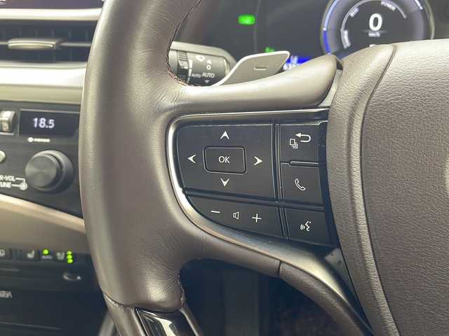 レクサス ＥＳ 300h バージョンL 沖縄県 2019(平31)年 6.4万km アイスエクリュマイカメタリック 純正メモリナビ/　CD/DVD/SD/BT/フルセグTV/パノラミックビューモニター/マークレビンソン/サンルーフ/デジタルインナーミラー　/ビルトインETC2.0/ドライブレコーダー（ZDR-022）/プリクラッシュセーフティ/アダプティブクルーズコントロール/レーンアシスト/クリアランスソナー/オートマチックハイビーム/ブラインドスポットモニター/アクセサリーコンセント（AC100V・1500W） /パワーバックドア/ホワイトレザーシート/前席シートヒーター/前席シートエアコン/前席パワーシート/純正18インチAW/純正フロアマット/プッシュスタート/スマートキ―/保証書/取扱説明書