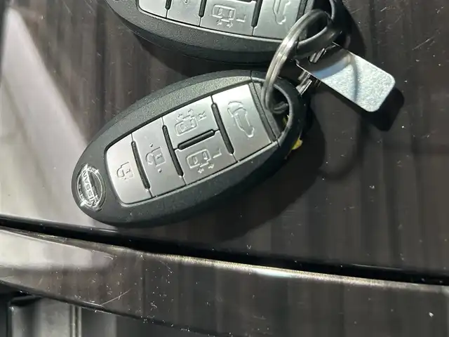 日産 エルグランド 350HWS アーバンクロム 山口県 2018(平30)年 2万km ブリリアントホワイトパール 純正ＨＤＤナビ（CD/Bluetooth）/純正18インチアルミホイール/純正フリップダウンモニター/全方位カメラ/両側パワースライドドア/衝突軽減システム/レーダークルーズコントロール/クリアランスソナー/HIDヘッドライト/オートライト/フォグランプ/電動リアゲート/プッシュスタート/スマートキー/ビルトインETC
