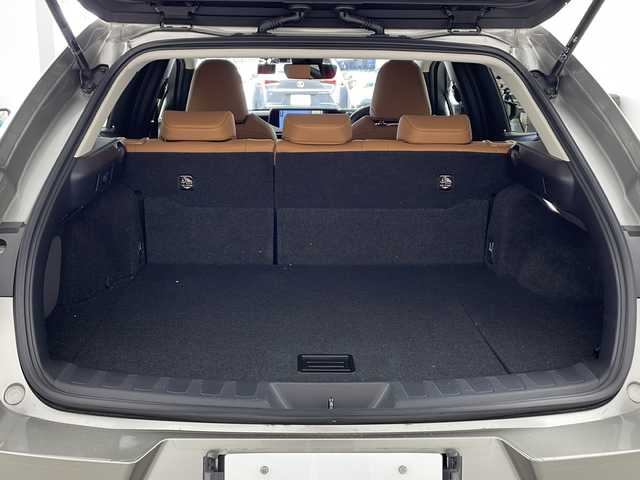 レクサス ＵＸ 250h バージョンC 兵庫県 2020(令2)年 4.4万km ソニックチタニウム ・純正ナビ＆TV＆BT＆CD＆DVD＆USB＆AUX/・全方位カメラ/・LEXUSsafety/・レーダークルーズコントロール/・BSM/・ビルトインETC2.0/・前後ドライブレコーダー/・革シート/・パワーシート/・シートヒーター/・メモリーシート/・ステアリングヒーター/・パドルシフト/・LEDオートライト/・フォグランプ/・オートマチックハイビーム/・純正17インチAW/・純正フロアマット/・防眩ミラー/・スペアキー
