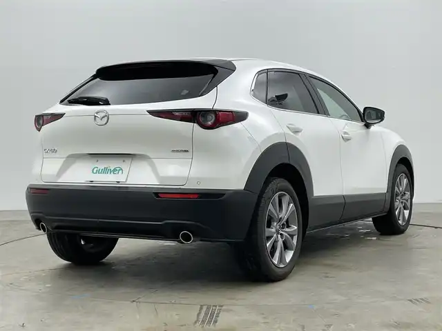 マツダ ＣＸ－３０ XD プロアクティブ 岡山県 2023(令5)年 2万km スノーフレイクホワイトパールマイカ 純正10.25インチディスプレイオーディオ/(Bluetooth/USB/Carplay/フルセグTV/HDMI)/全方位カメラ/ワイヤレス充電/電動リアゲート/パドルシフト/ヘッドアップディスプレイ/コーナーセンサー(前後)/オートハイビーム/LEDヘッドライト/レーンアシスト/アイドリングストップ/オートブレーキホールド/スマートキー(1本)/社外ドライブレコーダー(前)/社外フロアマット/純正18インチアルミホイール