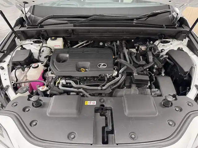 レクサス ＮＸ 350h Fスポーツ 三重県 2022(令4)年 4万km ホワイトノーヴァガラスフレーク Pガソリン・ハイブリッド/FF/MTモード付CVT/14インチナビ/（FM/AM/TV/Bluetooth/USB/iPod/Miracast/CarPlay/AndroidAuto）/パノラミックビューモニター（床下透過表示機能付）*/ETC2.0/LEXUS Safety System＋/・プリクラッシュセーフティ/・緊急時操舵支援＋フロントクロストラフィックアラート＋レーンチェンジアシスト*/・アダプティブハイビーム/・レーントレーシングアシスト/・レーダークルコン/・ロードサインアシスト/・プロアクティブドライビングアシスト/●ブラインドスポットモニター/●安心降車アシスト/●パーキングサポートブレーキ（静止物＋後方接近車両、後方歩行者）/など/装備/・パノラマムーンルーフ*＋ルーフレール/・3眼LEDヘッドランプ*/・寒冷地仕様/・黒×白 Fスポ用シート（本革・ブラック＆リッチクリーム）/・8wayパワーシート（Dメモリー・ランバーサポート付/N）/・シートベンチレーション（D/N）/・ハンズフリーパワーバックドア/・AC100Vコンセント（100W）/・カラーHUD（連動ステアリングスイッチ付）/・左右独立オートエアコン/・スマートキーx2/など/*…OP