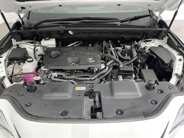 レクサス ＮＸ 350h Fスポーツ 大分県 2022(令4)年 3.7万km ホワイトノーヴァガラスフレーク パノラマルーフ/前後ドライブレコーダー/純正ナビ/・AM/FM/USB/Bluetooth/フルセグTV/・AppleCarPlay/AndroidAuto/Miracast/パノラミックビューモニター(床下透過表示機能付)/レクサスセーフティシステム/・プリクラッシュセーフティ/・レーンディパーチャーアラート/レーントレーシングアシスト/・レーンチェンジアシスト/フロントクロストラフィックアラート/・アダプティブハイビームシステム/・レーダークルーズコントロール(全車速追従機能付)/・ロードサインアシスト/発進遅れ告知機能/ドライバー異常時対応システム/・プロアクティブドライビングアシスト/ブラインドスポットモニター/前席パワーシート/シートヒーター/シートベンチレーション/三眼フルLEDヘッドランプ（ロー・ハイビーム）/LEDコーナリングランプ/純正ビルトインETC2.0