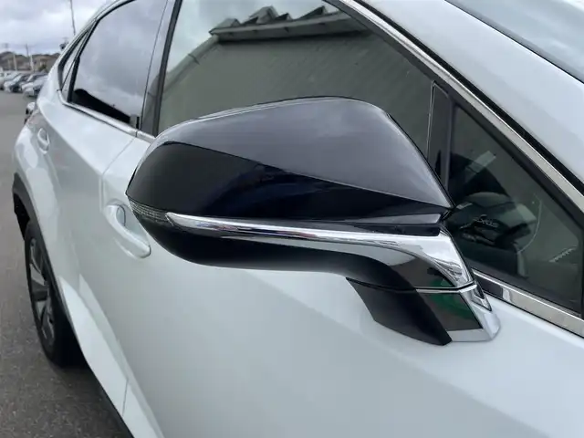 レクサス ＮＸ 富山県 2019(令1)年 8.1万km ホワイトノーヴァガラスフレーク サンルーフ／/革シート／/メーカーナビ／/フルセグＴＶ／/ＤＶＤ再生／/Ｂｌｕｅｔｏｏｔｈ／/バックカメラ／/サイドカメラ/ドライブレコーダー/前席シートヒーター／/前席エアシート／/パワーバックドア/三眼ＬＥＤオートライト／/ＬＥＤフォグライト／/セーフティシステムプラス／/レーダークルーズコントロール/ブラインドスポットモニター/オートマチックハイビーム/衝突軽減ブレーキ/クリアランスソナー/ＥＴＣ２．０