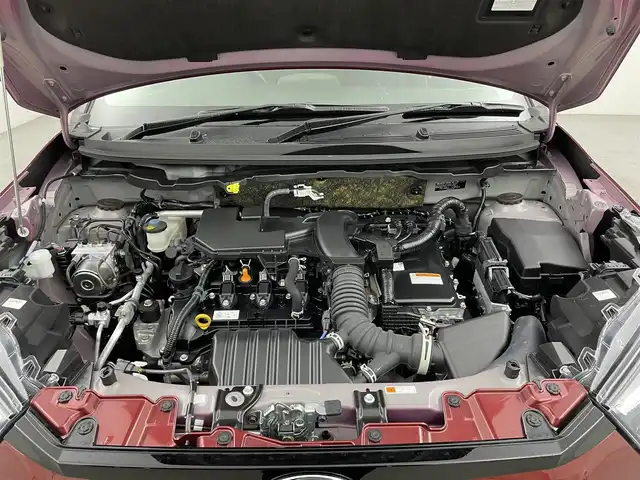 トヨタ ライズ Z 大分県 2023(令5)年 1.4万km ファイアークォーツレッドM 純正ディスプレィオーディオ/パノラミックビューモニター/レーダークルーズ/電動パーキングブレーキ/LED/ETC/Bluetooth/TV/レーンキープ/シートヒーター/フロアマット/ドアバイザー