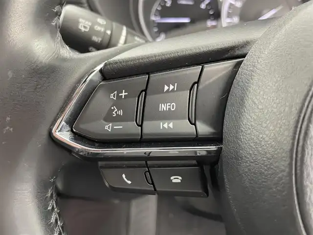 マツダ ＣＸ－８ XD プロアクティブ 富山県 2017(平29)年 3.1万km ソウルレッドクリスタルM BOSEサウンド/純正ナビ（AM/FM/DVD/BT/USB/フルセグ）/全方位カメラ/後席モニター/ETC/ドライブレコーダー/ヘッドアップディスプレイ/ブラインドスポットモニター/D席パワーシート/D席メモリシート/シートヒーター/ハンドルヒーター/衝突被害軽減システム/レーダークルーズコントロール/レーンキープアシスト/コーナーセンサー/横滑り防止装置/アイドリングストップ/純正アルミホイール/純正フロアマット/オートホールド付電子パーキング/スマートキー/スペアキー