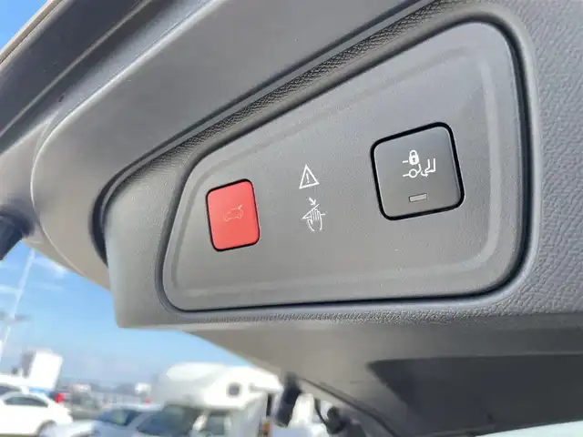 プジョー ３００８ GTライン 東京都 2019(令1)年 4.6万km パール ワンオーナー/純正ディスプレイオーディオ/バックカメラ/サイドカメラ/パワーバックドア/ACC/BSM/レーンキープ/社外前後ドライブレコーダー/LEDヘッドライト