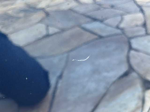 スズキ ラパン モード 静岡県 2019(令1)年 3.4万km ノクターンブルーパール ディスプレイオーディオ/FM/AM/CD/DVD/Bluetooth/USB/ipod/AUX/主要装備/・シートヒーター　/・アイドリングストップ　/・ステアリングリモコン　/・ＥＴＣ　/・オートライト　/・横滑り防止装置　/・衝突軽減システム　/・ディスプレイオーディオ　/・純正ホイールキャップ　/・スマートキー　/・プッシュスタート/・純正フロアマット