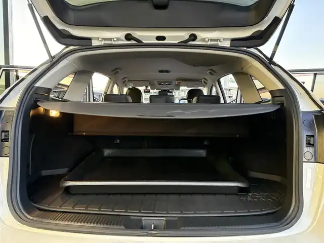 スバル レヴォーグ 1．6GT－S アイサイト 東京都 2018(平30)年 5.2万km パール メーカーオプション８インチナビ/・Bluetooth接続/・フルセグTV/アイサイト/・全車速追従機能付クルーズコントロール/・ツーリングアシスト（高速道路支援）/・プリクラッシュブレーキ（衝突被害軽減）/・アクティブレーンキープ/バックカメラ/ブラインドスポットモニター/電子パーキング/オートビークルホールド/後退時ブレーキアシスト/アイドリングストップ/純正フロアマット/純正１８インチアルミホイール/パワーシート/シートヒーター/シートメモリー機能