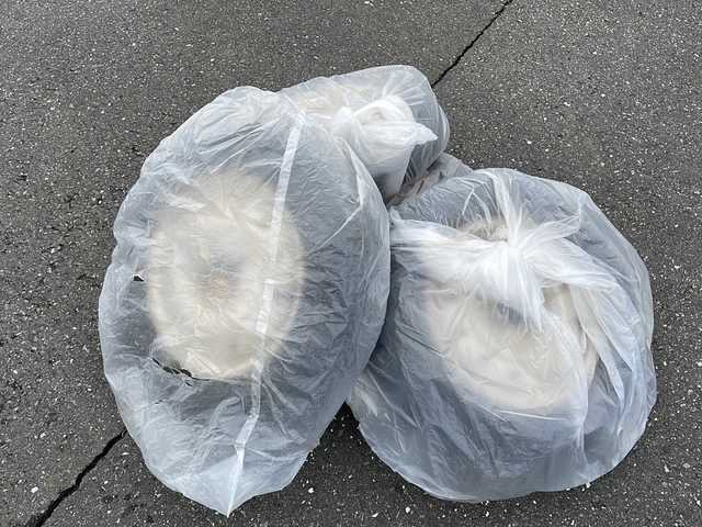 スズキ アルト F 岩手県 2016(平28)年 3.2万km スペリアホワイト バックカメラ/横滑り防止装置/シートヒーター/フォグランプ/キーレスキー/電動格納ミラー