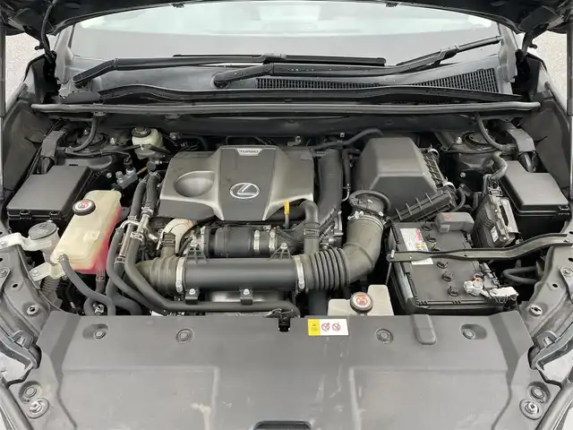 レクサス ＮＸ 300 Iパッケージ 滋賀県 2018(平30)年 5.5万km グラファイトブラックガラスフレーク 純正ナビ/・Bluetooth/・フルセグ/・CD/DVD/パノラミックビューモニター/革巻きステアリング/ステアリングリモコン/パドルシフト/ステアリングヒーター/ETC2.0/赤レザーシート/前席パワーシート/前席シートヒーター/オートリトラミラー/LEDヘッドライト/オートハイビーム/ヘッドライトウォッシャー/ブラインドスポットモニター/レーンディパーチャーアラート/プリクラッシュセーフティー/クリアランスソナー/スマートキー/スペアキー